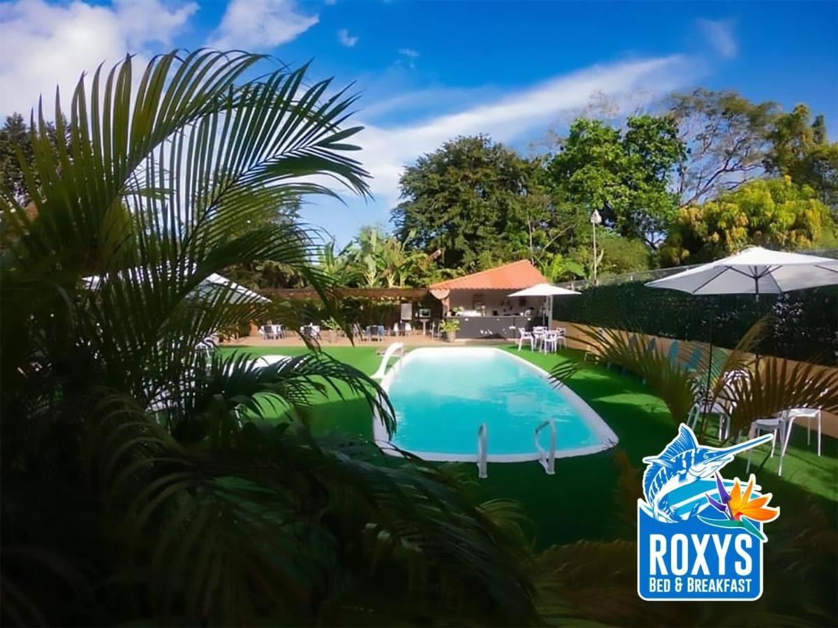 Roxy'S Bed & Breakfast Boca Chica Eksteriør bilde